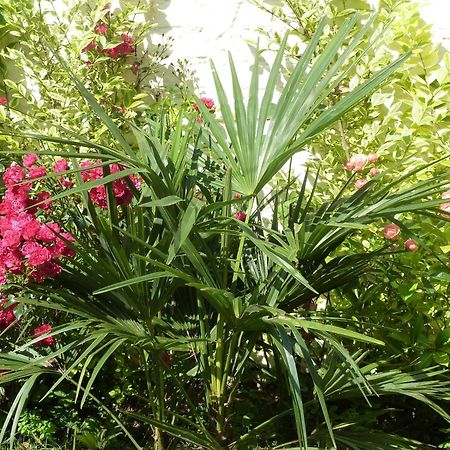 ラ・マドレーヌ A La Fleur D Oranger - Lille La Madeleine Bed & Breakfast エクステリア 写真